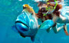 Picture of Blue Hole Snorkeling Excursions in Dahab