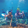 Picture of Three pools Snorkeling Trips in Dahab