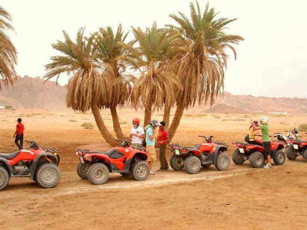 Picture of Sunrise Quad Bike Safari in Luxor Tours