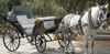 Picture of Aswan Horse carriage ride tours