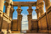 Picture of Kom Ombo and Edfu Temple from Aswan