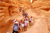 Picture of Canyon Desert Safari Tours Taba