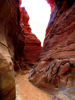 Picture of St. Catherine and Colored Canyon Tours by Jeep