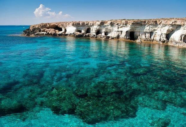 Picture of Ras Mohamed snorkeling trip from Sharm El Sheikh by Boat