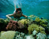 Picture of Tiran Island Snorkeling in Sharm El Sheikh