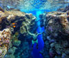 Picture of Blue Hole Dahab snorkeling from Sharm El Sheikh By Jeep 4x4