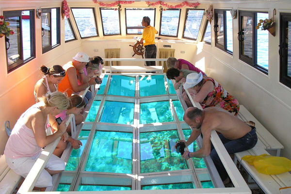 Picture of Sharm El Sheikh Glass boat trip