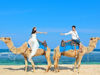 Picture of Desert Safari Tours in Marsa Alam