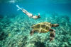 Picture of Blue lagoon Snorkeling tour from Marsa Alam