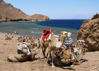 Picture of Camel Riding & Bedouin Dinner in Taba Trips