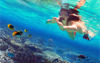 Picture of Sharm El Naga Snorkeling Trip from Hurghada