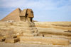 Picture of Cairo and Alexandria Tour Package