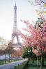 Picture of Paris - Rome